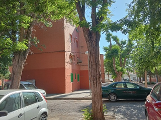 San Anton 5