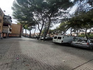 Pinos 2