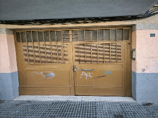 Pinos 3