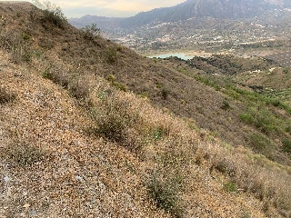 Paraje Blanca 4