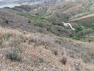 Paraje Blanca 8