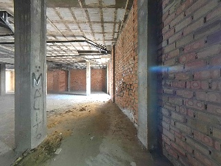 Polvero 11