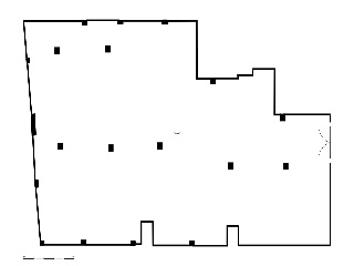 Polvero 25