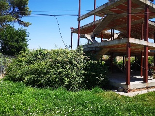 Orusco 12