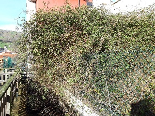 BUSTABLADO, O BARCENILLA 7