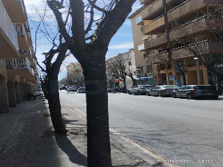 piso en venta , Palafrugell , 96 m2 3