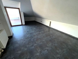 Riu Segre 27