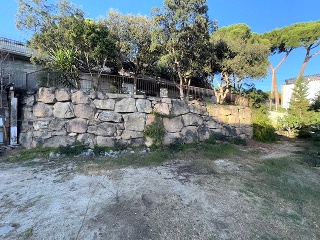 Riu Segre 47
