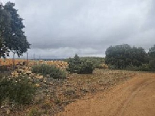 El Tobar 13