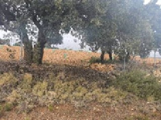El Tobar 15