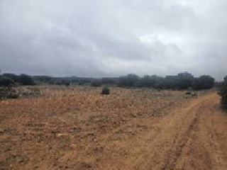 El Tobar 16