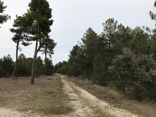 Otros en venta en Cuéllar