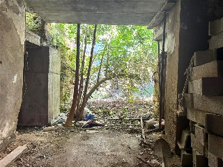 Guerreros 8