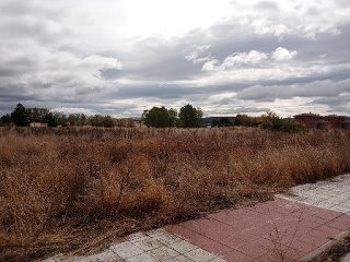 Pisos banco Fresno (El)