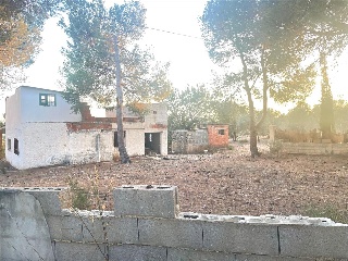DISEMINADOS (P-27) 2