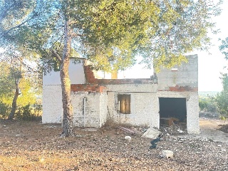 DISEMINADOS (P-27) 4