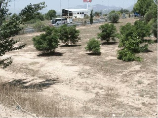 Suelos en Av de las Acacias 8