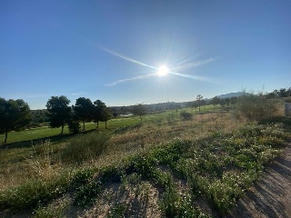 PIEDRABUENA 12