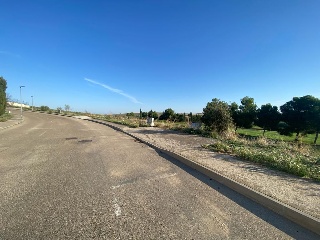 PIEDRABUENA 16