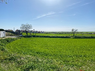PICACHO,LEBRERA,ESTACADA 10