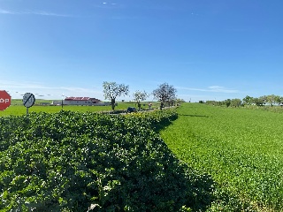 PICACHO,LEBRERA,ESTACADA 11