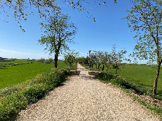 PICACHO,LEBRERA,ESTACADA 15
