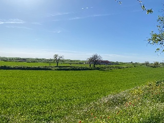 PICACHO,LEBRERA,ESTACADA 7