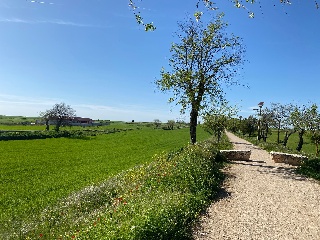 PICACHO,LEBRERA,ESTACADA 8