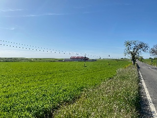 PICACHO,LEBRERA,ESTACADA 10