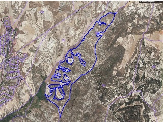 PICACHO,LEBRERA,ESTACADA 11