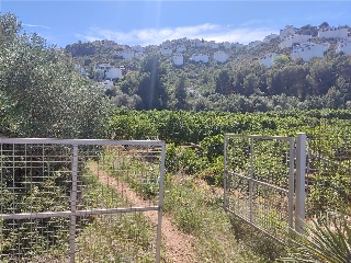 AV. MONTE PEGO, P.PARC, Po.66C 17
