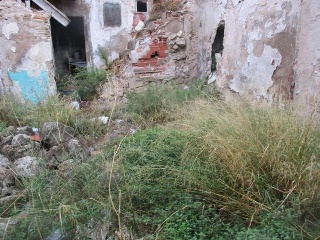 Armaris Dels 31