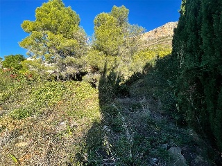 PARCELA 60 D4, PARTIDA EL MONTGO 15