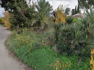 HACIENDA AZACAYA 19