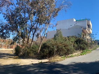 ALMORADI 10