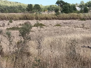 MAR DE JAVA 9