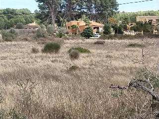 MAR DE JAVA 10