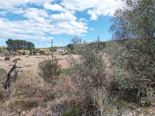 MAR DE JAVA 12