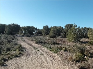 LO MESEGUER. LOS MONTESINOS 11