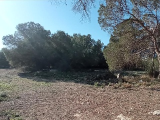 LO MESEGUER. LOS MONTESINOS 14