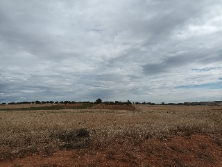 Lugar EL PRADO 6 8