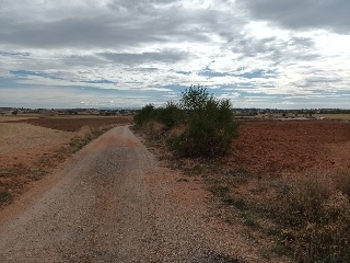 Lugar EL PRADO 6 11