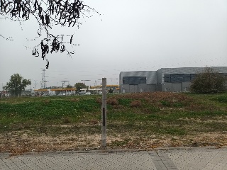 LA ACEBEDA 11