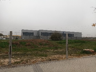 LA ACEBEDA 12