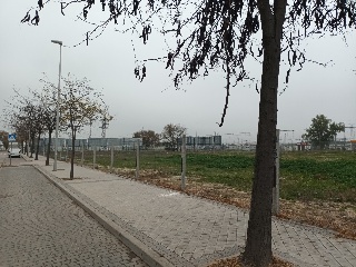LA ACEBEDA 13