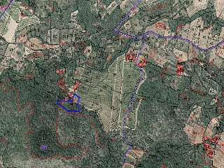 Paraje Del Pla 9