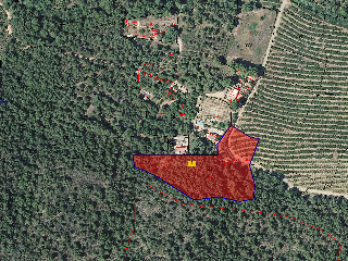 Paraje Del Pla 10