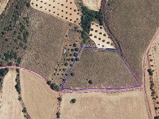 GUINDALERA, POLIGONO 9 PARCELA 5119 8