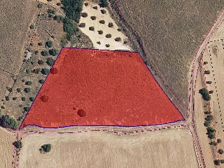 GUINDALERA, POLIGONO 9 PARCELA 5119 10