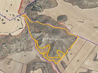 PARAJE DETRAS DE LA CASA, FINCA 55 11